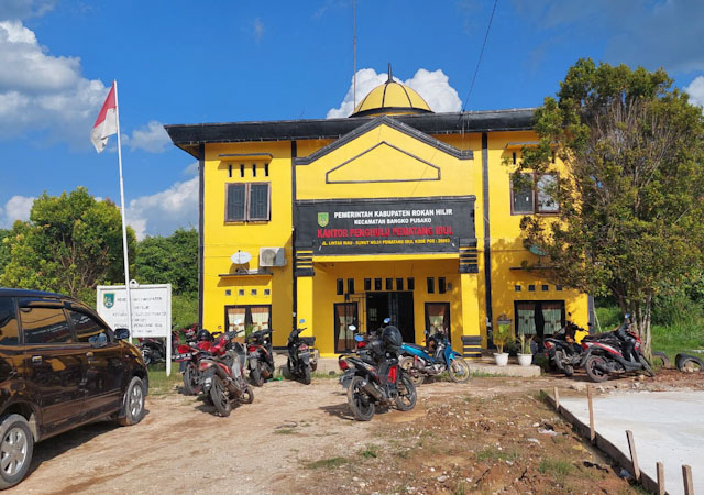 Pematang ibul